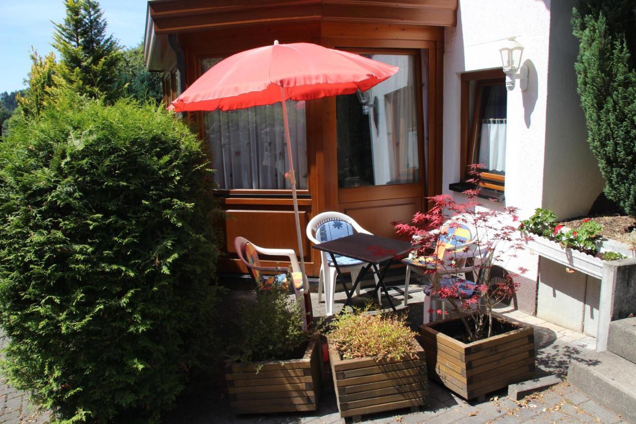 Haus Hirtenbergblick Lonau 외부 사진