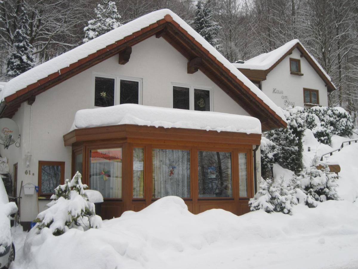 Haus Hirtenbergblick Lonau 외부 사진