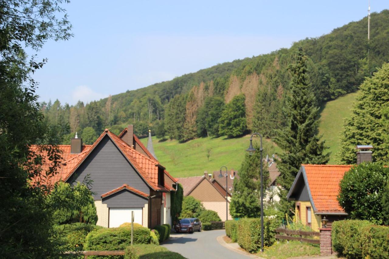 Haus Hirtenbergblick Lonau 외부 사진
