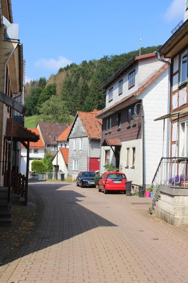Haus Hirtenbergblick Lonau 외부 사진