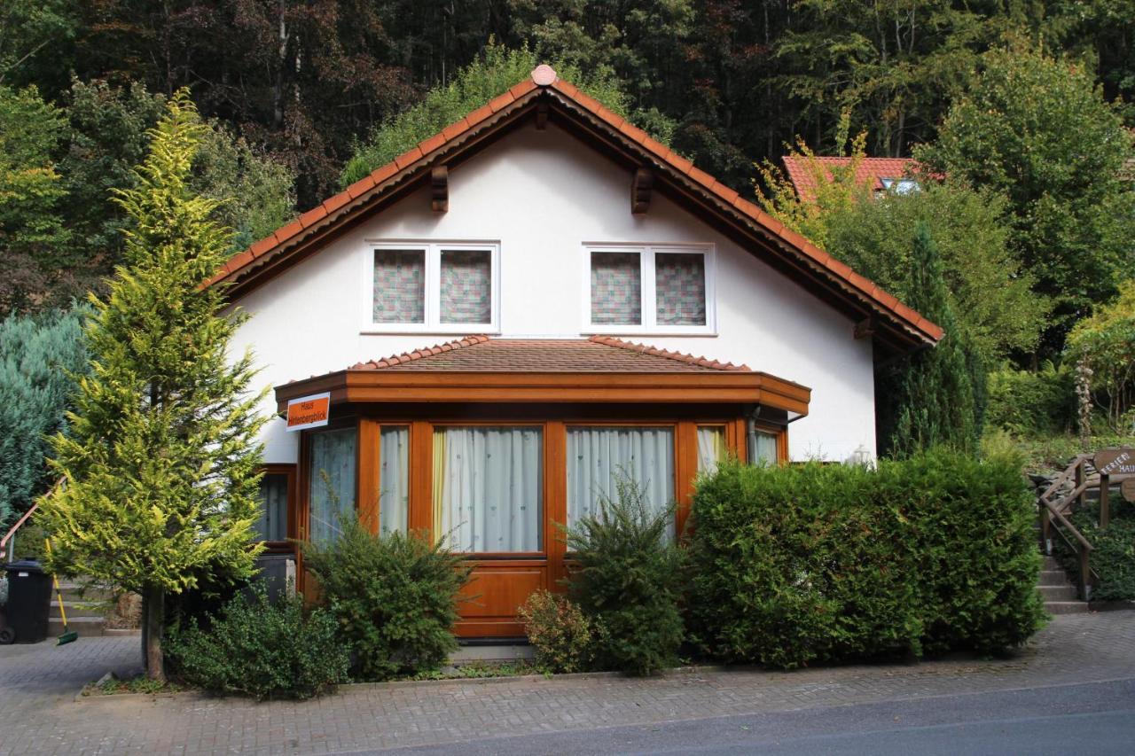 Haus Hirtenbergblick Lonau 외부 사진